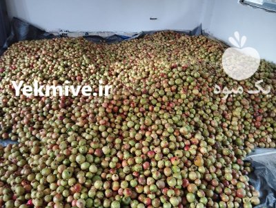 فروش انار ترش درجه یک در رشت در گروه خرید و فروش انار در یکمیوه -عکس1