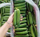 فروش خیار گلخانه ای در یزد در گروه خرید و فروش خیار در یکمیوه