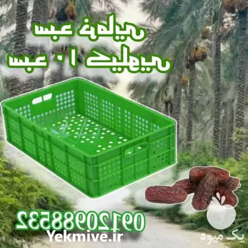 قیمت خرید سبد خرما سبد پلاستیکی کف در میناب در گروه خرید و فروش انواع سبد در یکمیوه -عکس1