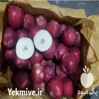 صادرات سیب مراغه در آذربایجان شرقی در گروه خرید و فروش سیب در یکمیوه