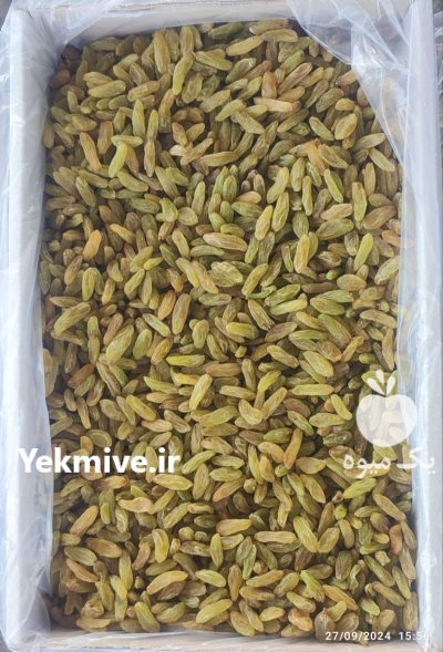 فروش آلو و کشمش و قیسی در کرج در گروه خرید و فروش آجیل در یکمیوه -عکس3