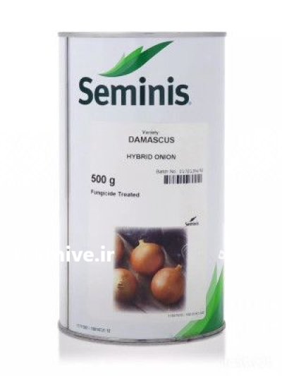 قیمت فروش بذر پیاز داستر در ایلام در گروه خرید و فروش بذر پیاز در یکمیوه -عکس1