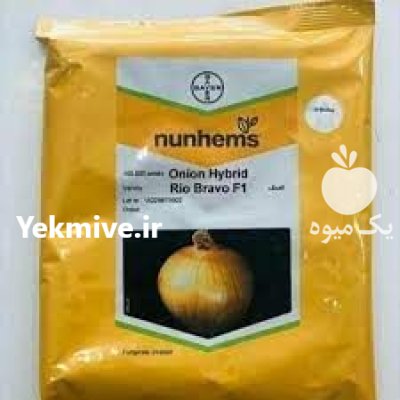 فروش بذر پیاز زرد ریو براوو در تهران در گروه خرید و فروش بذر پیاز در یکمیوه -عکس1
