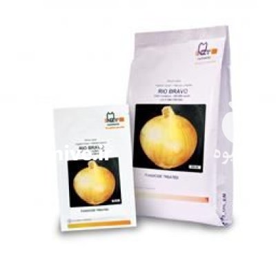 فروش بذر پیاز زرد ریو براوو در تهران در گروه خرید و فروش بذر پیاز در یکمیوه -عکس2