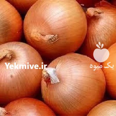 فروش بذر پیاز زرد ریو براوو در تهران در گروه خرید و فروش بذر پیاز در یکمیوه -عکس3