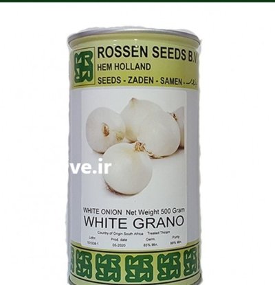 فروش بذر پیاز وایت گرانو در خرمشهر در گروه خرید و فروش بذر پیاز در یکمیوه -عکس1