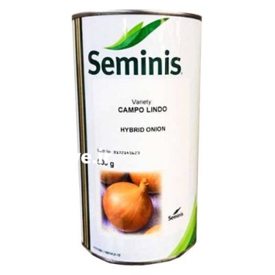 قیمت بذر پیاز سوییت اسپانیش در کرمان  در گروه خرید و فروش بذر پیاز در یکمیوه -عکس1