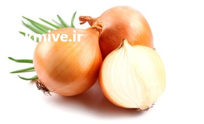 قیمت بذر پیاز سوییت اسپانیش در کرمان  در گروه خرید و فروش بذر پیاز در یکمیوه -عکس3