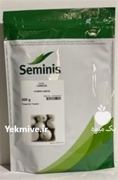 قیمت فروش بذر پیاز سایروس در کرمانشاه در گروه خرید و فروش بذر پیاز در یکمیوه -عکس1