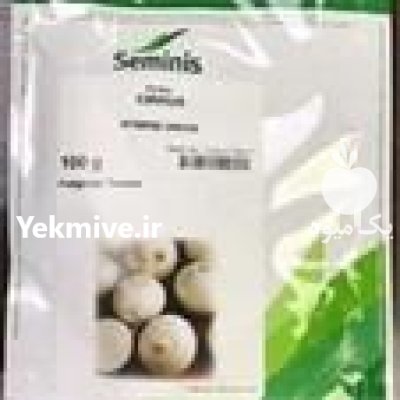 قیمت فروش بذر پیاز سایروس در کرمانشاه در گروه خرید و فروش بذر پیاز در یکمیوه -عکس2