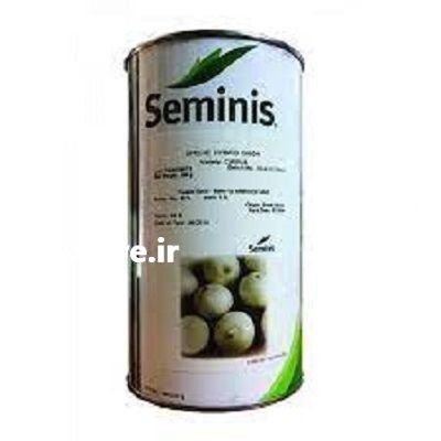 قیمت فروش بذر پیاز سایروس در کرمانشاه در گروه خرید و فروش بذر پیاز در یکمیوه -عکس3