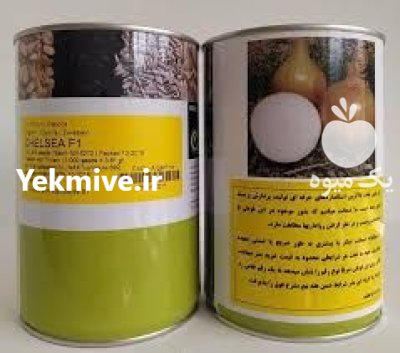 قیمت بذر پیاز زرد انزا چلسی در گروه خرید و فروش بذر پیاز در یکمیوه -عکس1