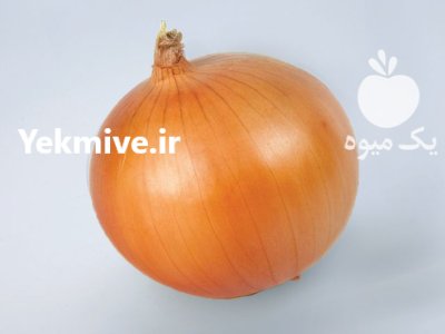 قیمت بذر پیاز زرد انزا چلسی در گروه خرید و فروش بذر پیاز در یکمیوه -عکس3