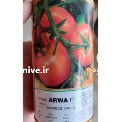 قیمت بذر گوجه فرنگی آروا در بوشهر در گروه خرید و فروش بذر گوجه در یکمیوه -عکس2