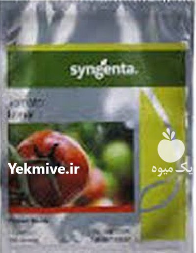 فروش بذر گوجه گلخانه ای ازمیر در اراک در گروه خرید و فروش بذر گوجه در یکمیوه -عکس1