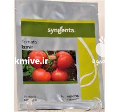 فروش بذر گوجه گلخانه ای ازمیر در اراک در گروه خرید و فروش بذر گوجه در یکمیوه -عکس2