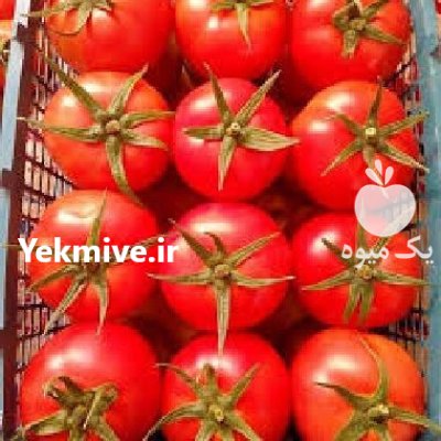 فروش بذر گوجه گلخانه ای ازمیر در اراک در گروه خرید و فروش بذر گوجه در یکمیوه -عکس3