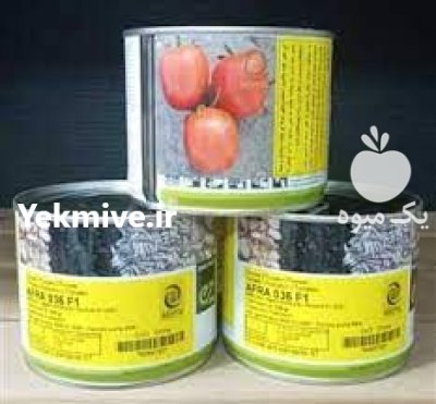 قیمت فروش بذر گوجه فرنگی افرا در بندرعباس در گروه خرید و فروش بذر گوجه در یکمیوه -عکس1