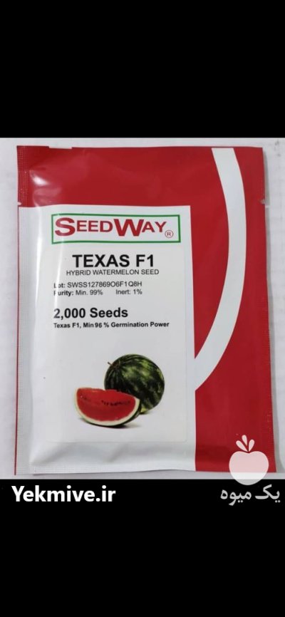 بذر هندوانه تگزاس در گروه خرید و فروش بذر هندوانه در یکمیوه -عکس1