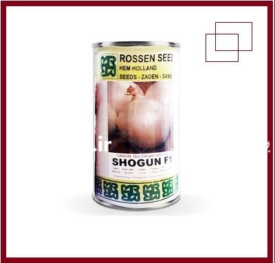 بذر پیاز روز کوتاه شوگان روزنسیدز در گروه خرید و فروش بذر پیاز در یکمیوه -عکس1