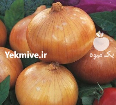 بذر پیاز روز کوتاه شوگان روزنسیدز در گروه خرید و فروش بذر پیاز در یکمیوه -عکس2