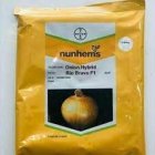 فروش بذر پیاز زرد ریو براوو در تهران در گروه خرید و فروش بذر پیاز در یکمیوه