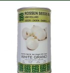 فروش بذر پیاز وایت گرانو در خرمشهر در گروه خرید و فروش بذر پیاز در یکمیوه