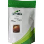 فروش بذر پیاز گلدن آی در شیراز در گروه خرید و فروش بذر پیاز در یکمیوه