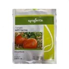 قیمت بذر گوجه فرنگی آر اف در تهران در گروه خرید و فروش بذر گوجه در یکمیوه