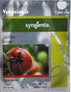 فروش بذر گوجه گلخانه ای ازمیر در اراک در گروه خرید و فروش بذر گوجه در یکمیوه