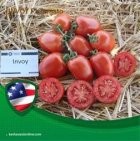 قیمت بذر گوجه اینوی در کرمانشاه در گروه خرید و فروش بذر گوجه در یکمیوه