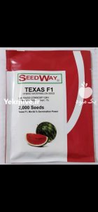 بذر هندوانه تگزاس در گروه خرید و فروش بذر هندوانه در یکمیوه