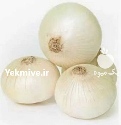 فروش بذر پیاز روز کوتاه 4043 در مشهد در گروه خرید و فروش بذر پیاز در یکمیوه -عکس1