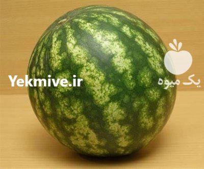 فروش بذر هندوانه وارداتی ویکیما در گروه خرید و فروش بذر هندوانه در یکمیوه -عکس1