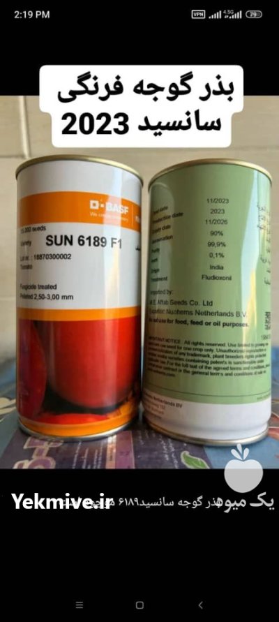 فروش انواع بذر گوجه فرنگی در بوشهر در گروه خرید و فروش بذر گوجه در یکمیوه -عکس1