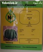 فروش بذر خیار هیمالیا Nickerson بذر در مشهد در گروه خرید و فروش بذر خیار در یکمیوه