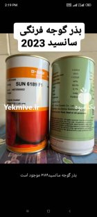 فروش انواع بذر گوجه فرنگی در بوشهر در گروه خرید و فروش بذر گوجه در یکمیوه