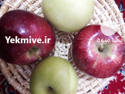 سیب درجه یک زرد و قرمز در شیراز در گروه خرید و فروش سیب در یکمیوه -عکس1