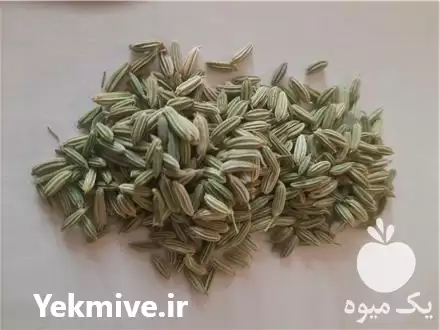 خرید و فروش رازیانه مرغوب همدان در تهران در گروه خرید و فروش گیاهان دارویی در یکمیوه -عکس1