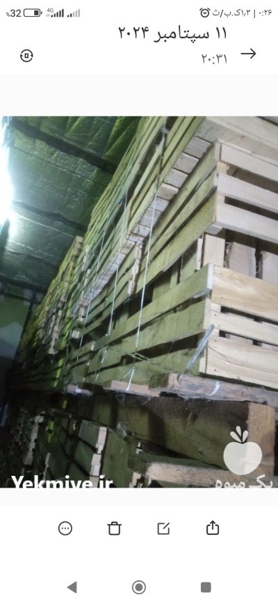 جعبه چوبی انگور در بندرانزلی در گروه خرید و فروش بسته بندی چوبی در یکمیوه -عکس2