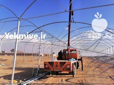 شرکت گلخانه سازی در مهردشت در گروه سازنده در یکمیوه -عکس1