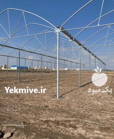 شرکت گلخانه سازی در مهردشت در گروه سازنده در یکمیوه -عکس2