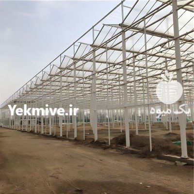 شرکت گلخانه سازی در مهردشت در گروه سازنده در یکمیوه -عکس4