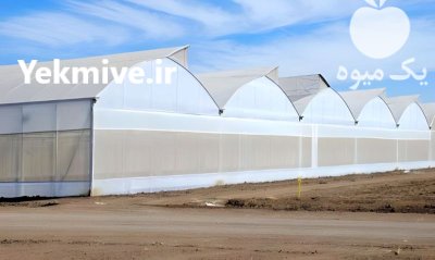 احداث گلخانه ساخت گلخانه در بجستان در گروه سازنده در یکمیوه -عکس1