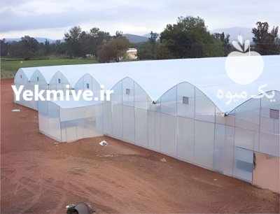 احداث گلخانه ساخت گلخانه در بجستان در گروه سازنده در یکمیوه -عکس2