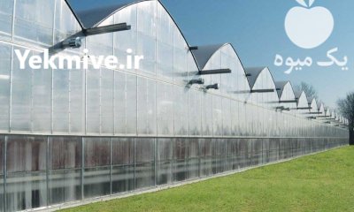 کلیه تجهیزات ساخت و احداث گلخانه در آزادشهر در گروه سازنده در یکمیوه -عکس3