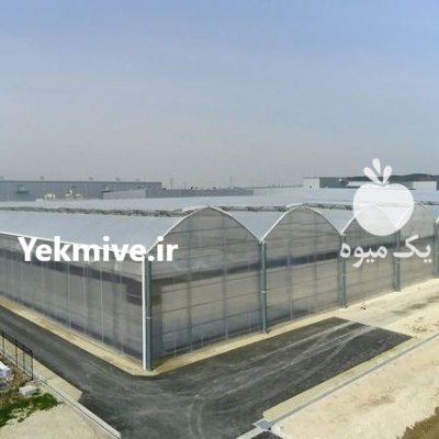سازه گلخانه و مصالح گلخانه در کرمانشاه در گروه خرید و فروش سوله و سازه گلخانه در یکمیوه -عکس1