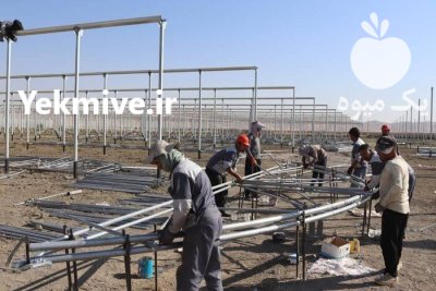 سازه گلخانه و مصالح گلخانه در کرمانشاه در گروه خرید و فروش سوله و سازه گلخانه در یکمیوه -عکس4