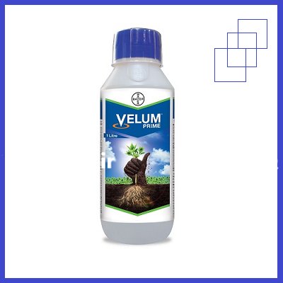 فروش سم ولوم پرایم سم VELUM در گروه خرید و فروش انواع سم در یکمیوه -عکس1