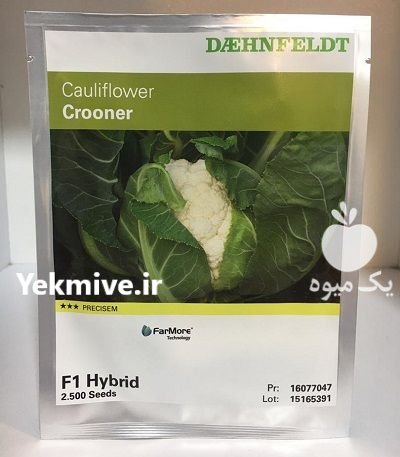 فروش بذر گل کلم کرونر سینجنتا در همدان در گروه خرید و فروش انواع بذر در یکمیوه -عکس1